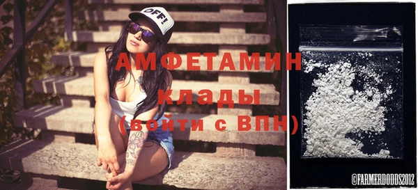 твердый Новодвинск