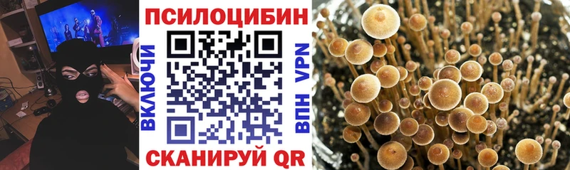 Галлюциногенные грибы Magic Shrooms  купить   Омск 
